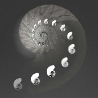 Nautilus cover art